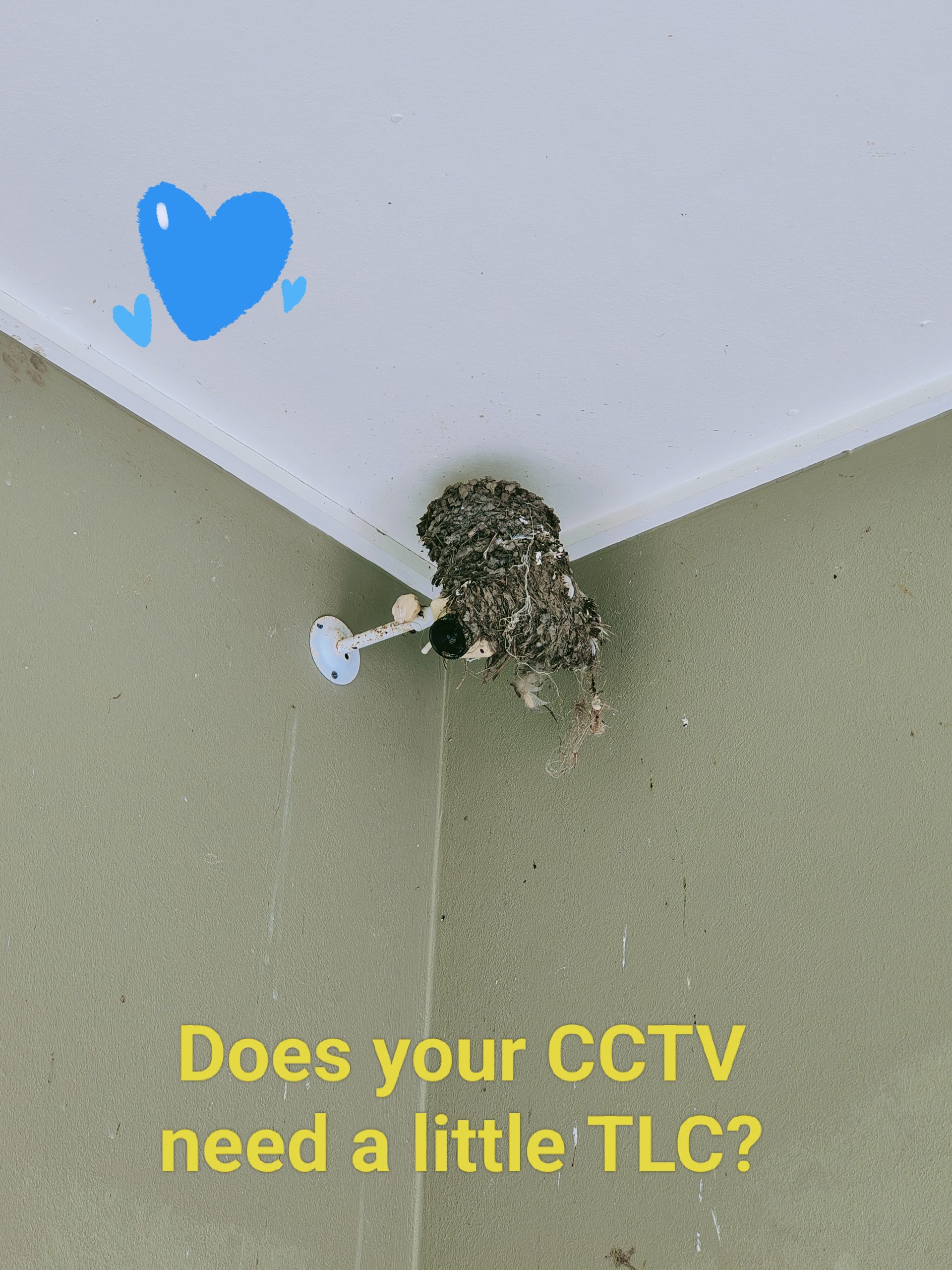 CCTV Service Options
